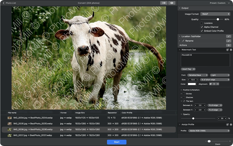 1780626700-ef656f185299b7b.png PhotoMill X for Mac v3.4.0 图片批处理工具 破解版下载