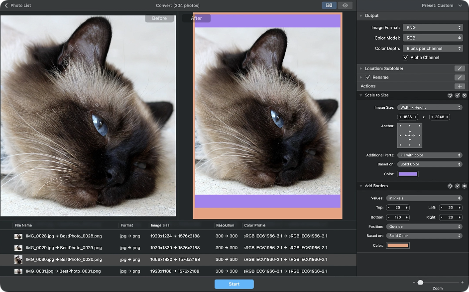 1780626702-75524912f595e76.png PhotoMill X for Mac v3.4.0 图片批处理工具 破解版下载