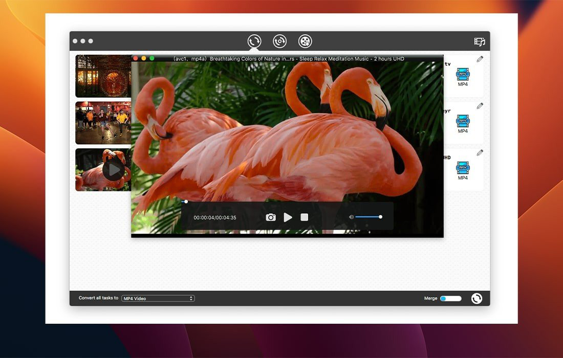 1792833231-bf02938077fdbd1.png Cisdem VideoPaw for Mac v11.0.0 全能影音处理工具 破解版下载